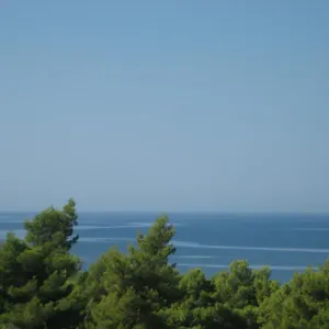 Seapine Apartment